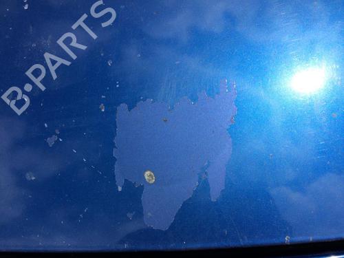 Hood RENAULT SCÉNIC III (JZ0/1_) 1.5 dCi | BP27344773C1