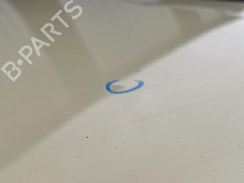 Hood FIAT PANDA (169_) 1.2 LPG (169CXF1A) | BP30736219C1 