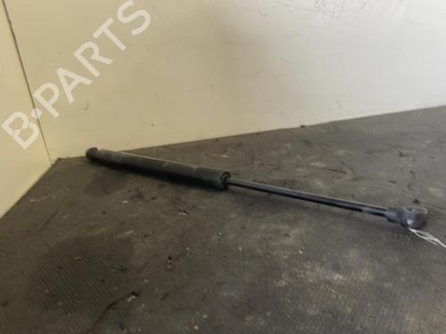 Used Hood lift support DACIA LODGY (JS_) 1.2 TCe (JSAY, JSM0) (115 hp) 26416994
