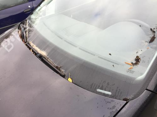 front-windshield-wiper-arm-vw-touran-1t1-1t2-2003-2004-2005-2006-2007-2008-2009-2010-2011-29465866 main image