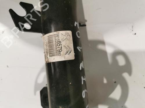 Used Left front shock absorber CITROËN C3 III (SX) 1.2 THP 110 (SXHNPS, SXHNZT, SXHNZ6) (110 hp) 26428249
