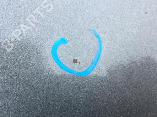 Hood PEUGEOT 1007 (KM_) 1.4 HDi | BP30176993C1 