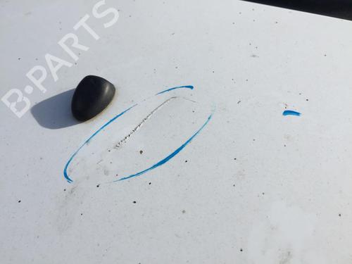 Hood CITROËN C3 II (SC_) 1.4 HDi 70 (SC8HZC, SC8HR0, SC8HP4) | BP30171691C1