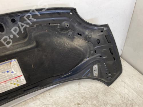 Hood FIAT 500 (312_) 1.3 D Multijet (312AXB1A) | BP28156393C1