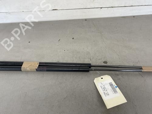 Used Tailgate lift support NISSAN JUKE (F15) 1.5 dCi (110 hp) 26423486