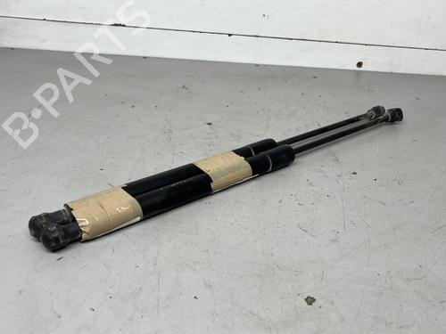 Used Tailgate lift support RENAULT ZOE (BFM_) ZOE (88 hp) 28839993