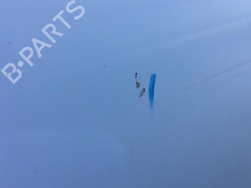 Right front door RENAULT SCÉNIC III (JZ0/1_) 1.5 dCi | BP29854116C3
