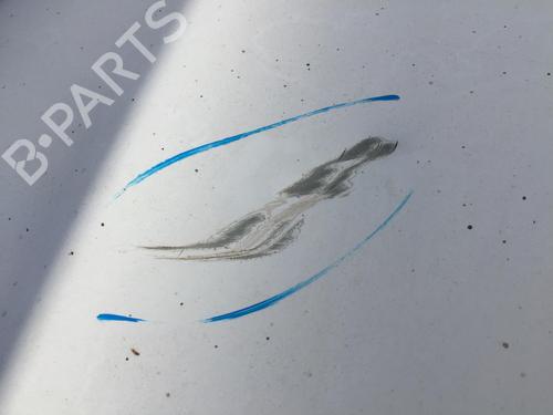 Hood CITROËN C3 II (SC_) 1.4 HDi 70 (SC8HZC, SC8HR0, SC8HP4) | BP30171691C1