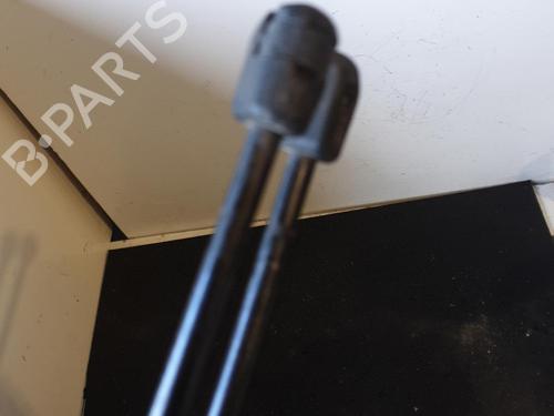 tailgate-lift-support-renault-megane-iii-hatchback-bz01_-b3_-2008-26427664 main image