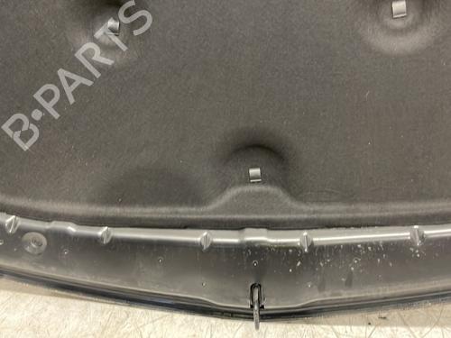 Used Hood Hood OPEL INSIGNIA A (G09) 2.0 CDTI (68) (140 hp) 26419295 26419295