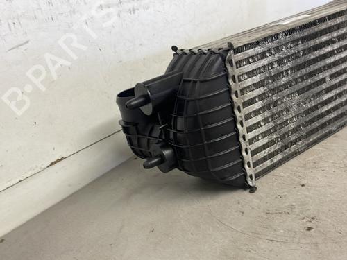 Used Intercooler Intercooler PEUGEOT 3008 I MPV (0U_) 2.0 HDi 150 / BlueHDi 150 (150 hp) 26425848 26425848
