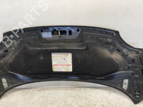 Hood FIAT 500 (312_) 1.3 D Multijet (312AXB1A) | BP28156393C1