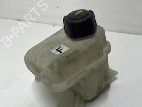 Expansion tank NISSAN QASHQAI / QASHQAI +2 I (J10, NJ10, JJ10E) 1.5 dCi | BP26422082C120 
