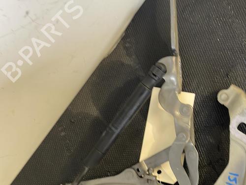 Hinge/Door check strap MINI MINI (R56) Cooper S | BP26422436C146 