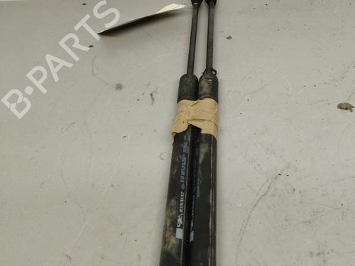 Tailgate lift support RENAULT CLIO IV (BH_) 1.5 dCi 75 | BP26419393C138 