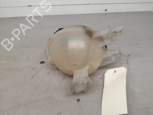 expansion-tank-citroen-c3-ii-sc_-2009-26413665 main image