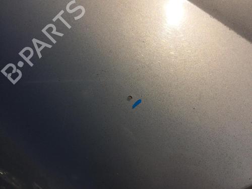 Hood CITROËN C8 (EA_, EB_) 2.0 HDi 165 | BP29008898C1 