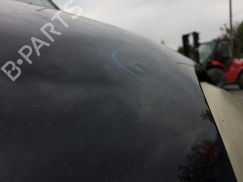 Hood FIAT 500 (312_) 1.3 D Multijet (312AXB1A) | BP28156393C1