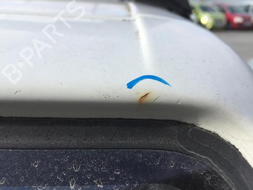 Tailgate PEUGEOT 205 II (20A/C) 1.4 | BP29610109C6