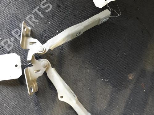 hingedoor-check-strap-citroen-c3-ii-sc_-2009-26416880 main image