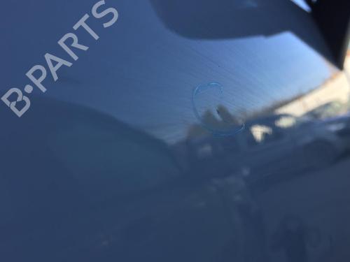 Right front door RENAULT SCÉNIC III (JZ0/1_) 1.5 dCi | BP29854116C3