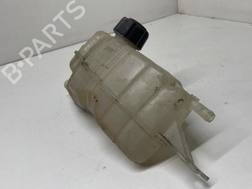 Used Expansion tank RENAULT CLIO III Grandtour (KR0/1_) 1.5 dCi (KR0G) (68 hp) 26427294