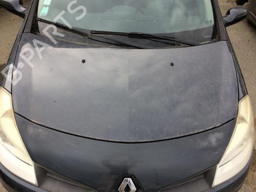 Used Hood RENAULT CLIO III (BR0/1, CR0/1) 1.4 16V (98 hp) 27205057