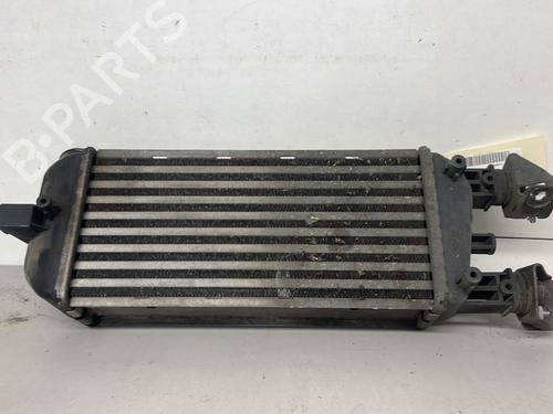 Intercooler FIAT 500 (312_) 1.3 D Multijet (312AXB1A) | BP28195135M30 
