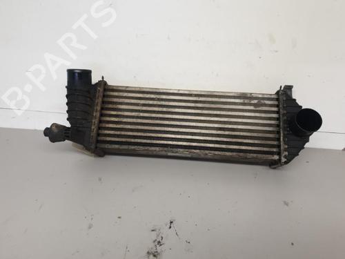 Used Intercooler RENAULT KANGOO / GRAND KANGOO II (KW0/1_) 1.5 dCi 90 (KW05, KW08, KW0G, KW11) (90 hp) 26416127