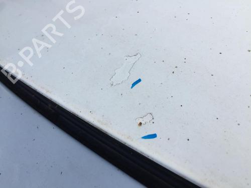 Hood CITROËN C3 II (SC_) 1.4 HDi 70 (SC8HZC, SC8HR0, SC8HP4) | BP30171691C1