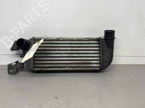 Intercooler FIAT 500 (312_) 1.3 D Multijet (312AXB1A) | BP28195135M30 