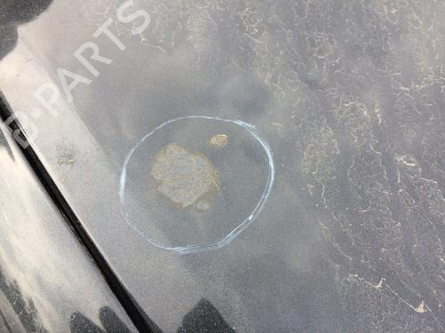 Hood RENAULT CLIO III (BR0/1, CR0/1) 1.4 16V | BP27205057C1 