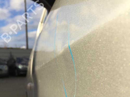 Left front door CITROËN XSARA PICASSO (N68) 2.0 HDi | BP30593533C2