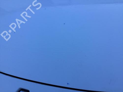 Hood RENAULT SCÉNIC III (JZ0/1_) 1.5 dCi | BP29854105C1