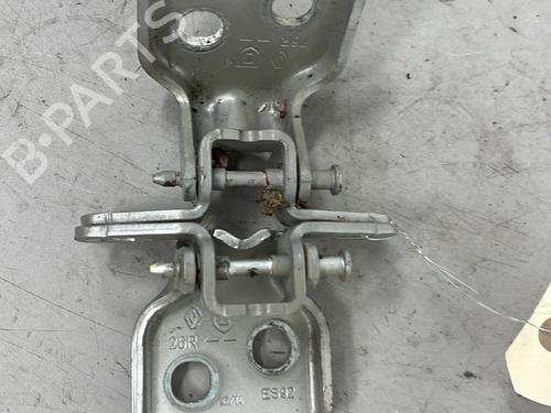 hingedoor-check-strap-dacia-lodgy-js_-2012-29320142 main image