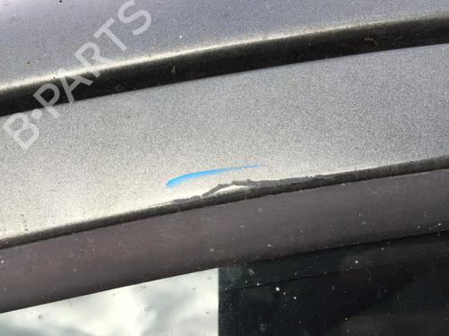 Left front door PEUGEOT 207 (WA_, WC_) 1.6 HDi | BP30515734C2