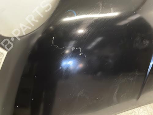 Hood FIAT 500 (312_) 1.3 D Multijet (312AXB1A) | BP28156393C1