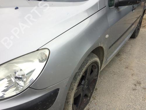 Left front fenders PEUGEOT 307 (3A/C) 2.0 HDi 110 | BP27734311C41 