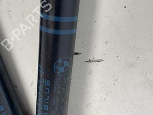 Hood lift support BMW 1 (F20) 116 d | BP26421715C139 