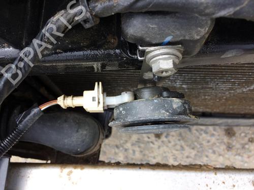 Horn RENAULT CLIO III (BR0/1, CR0/1) 1.5 dCi (C/BR0G, C/BR1G) | BP27896662E13 