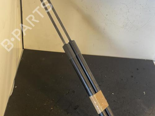 Tailgate lift support FORD KUGA I 2.0 TDCi | BP26422392C138 
