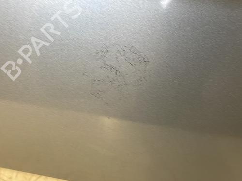 Hood AUDI A6 C6 Avant (4F5) 2.0 TDI | BP26419715C1 