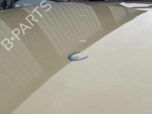 Hood FIAT PANDA (169_) 1.2 LPG (169CXF1A) | BP30736219C1 