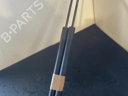 Tailgate lift support FORD KUGA I 2.0 TDCi | BP26422392C138 
