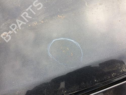 Hood RENAULT CLIO III (BR0/1, CR0/1) 1.4 16V | BP27205057C1 