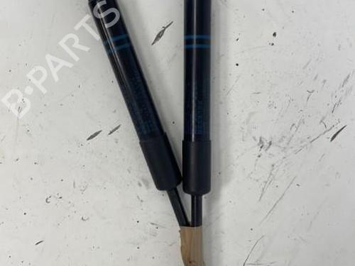 Hood lift support BMW 1 (F20) 116 d | BP26421715C139 