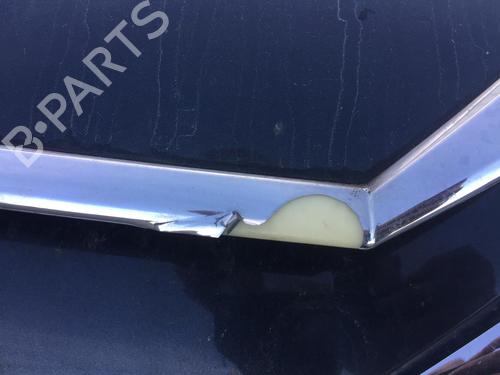 Used Hood Hood CITROËN C5 III (RD_) 1.6 HDi 110 (RD9HZC) (109 hp) 29583630 29583630