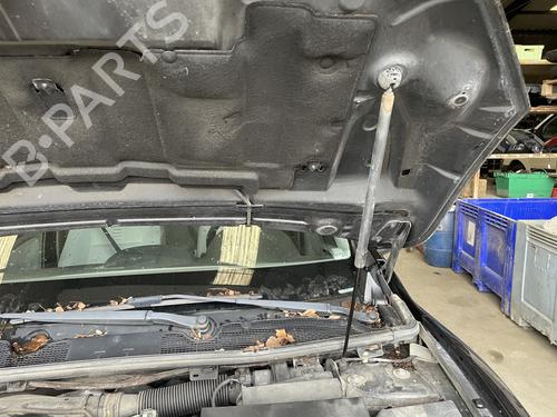 hood-lift-support-renault-megane-iii-hatchback-bz01_-b3_-2008-32214397 main image