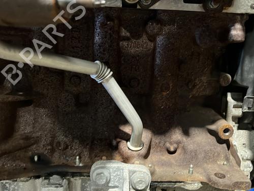 Engine RENAULT MODUS / GRAND MODUS (F/JP0_) 1.5 dCi (JP0G, JP0H) | BP32230342M1 - Image 4