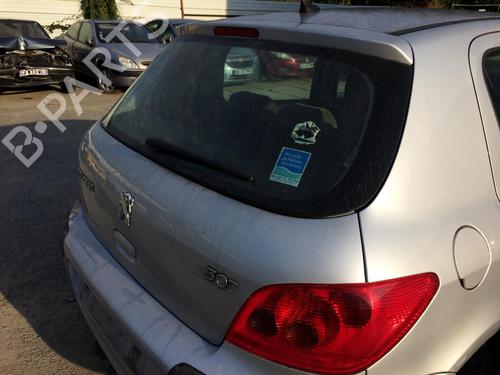 Tailgate PEUGEOT 307 (3A/C) 1.6 16V | BP29200330C6 
